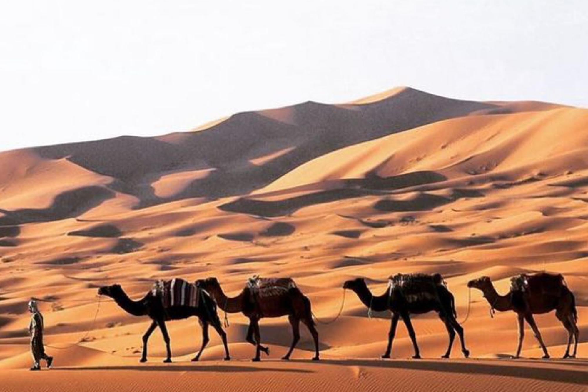 Luxury Merzouga Desert Camp Dış mekan fotoğraf